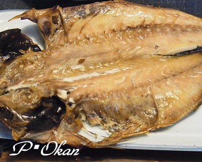鯵