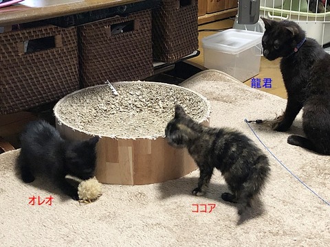 3人さん