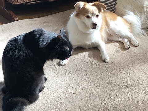 クゥyとミ
