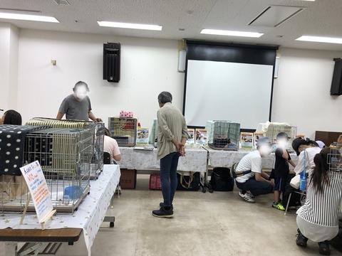 会場