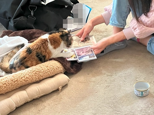 みふちゃんと
