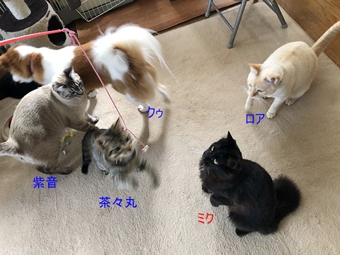 リビングで