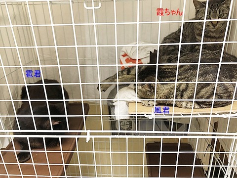 3人さん