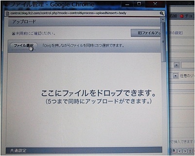 page画像2