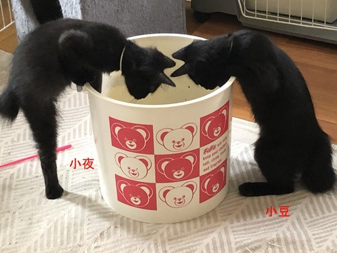 お二人