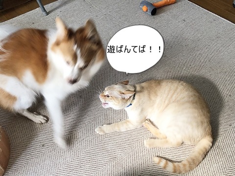 ロアと2
