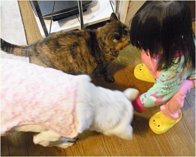 pagenanaちゃん