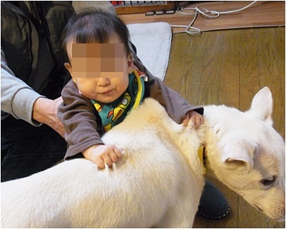 pageyukiとnanaちゃん