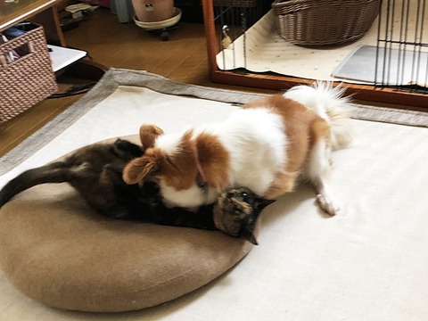 お二人