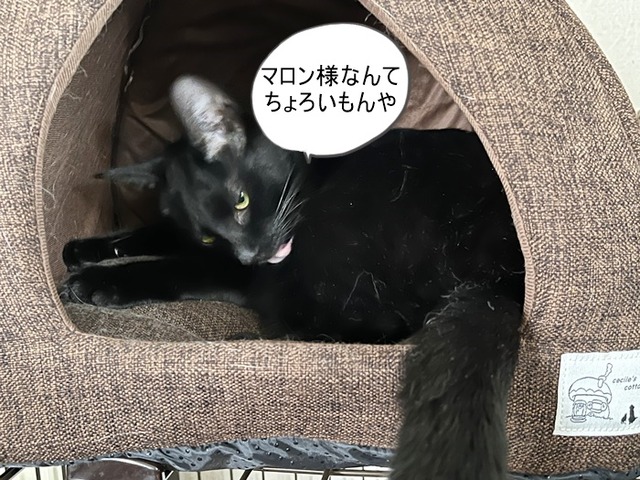 クロム