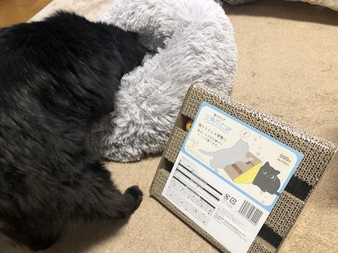 ミクと