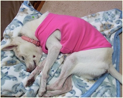 yuki_2014112414191974f.jpg