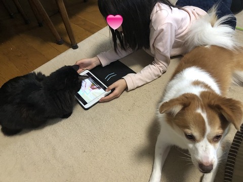 3人