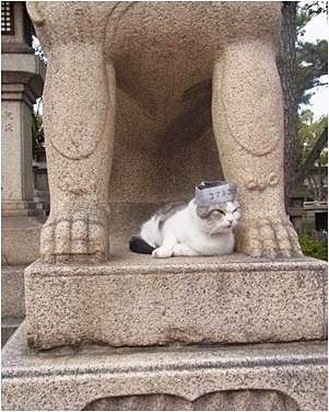 太郎ちゃん