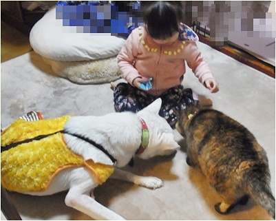 pagenanaちゃん