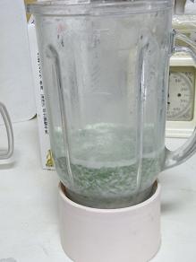 RIMG2157mikisa-.jpg