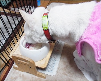 yuki_2014030515213903f.jpg