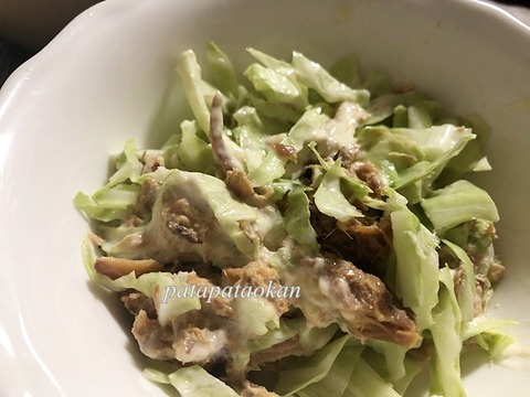 キャベツ