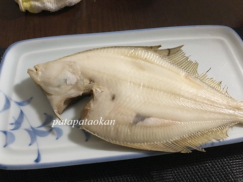 カレイ