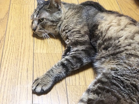 ナルト