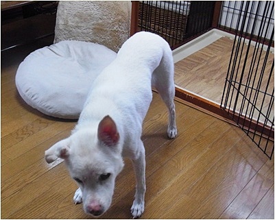 yuki_201310151539162fd.jpg