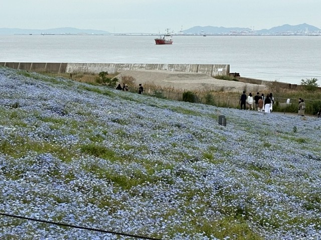 海が近い。