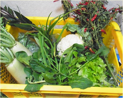 野菜