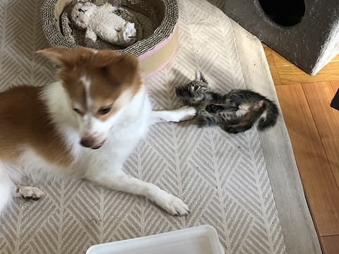 まると