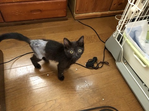 ミーさん