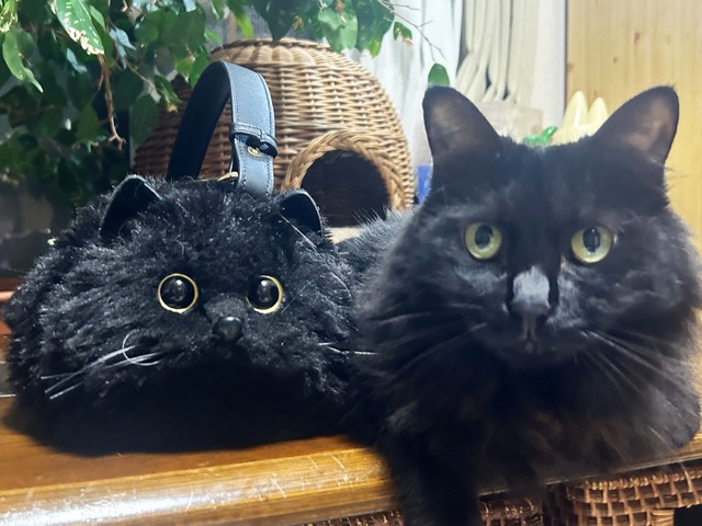ミクと