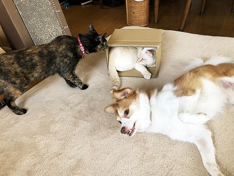 3人