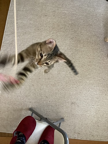ジャンプ2