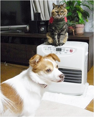 pageお二人