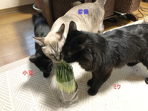 3人