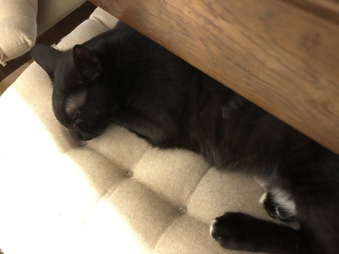 クララ
