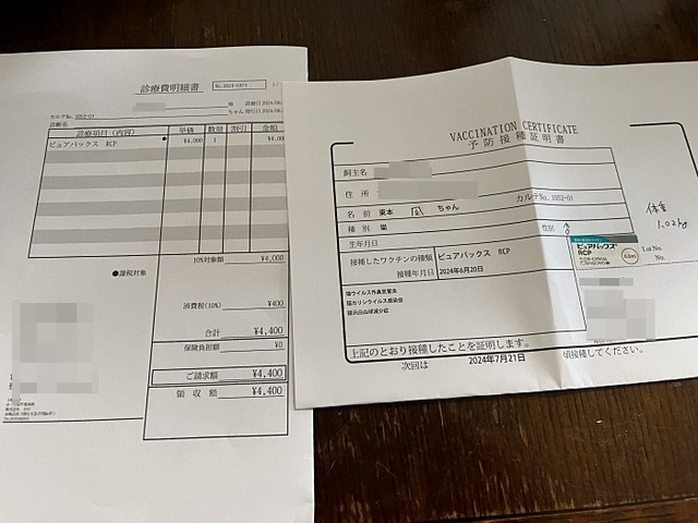 証明書
