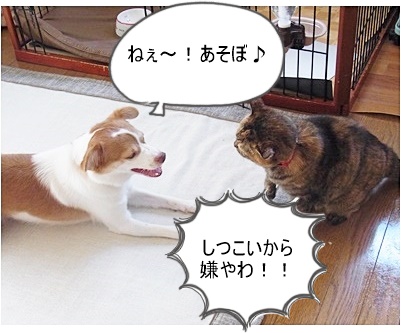 お二人