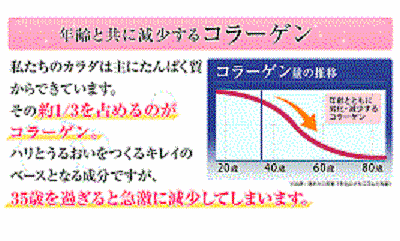 コラーゲン表