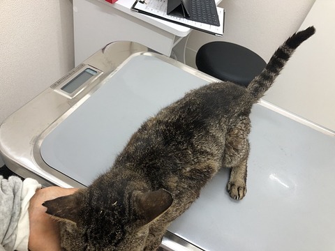 病院