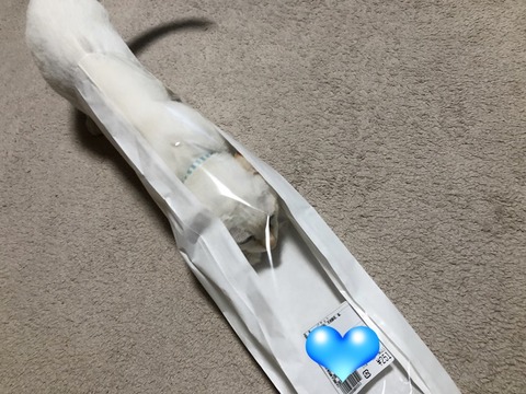 ロア