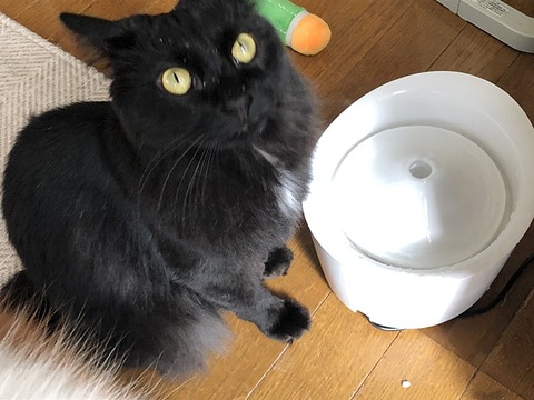 ミク