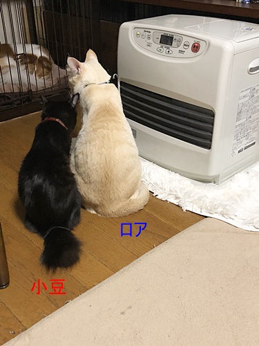 お二人さんIMG_6192