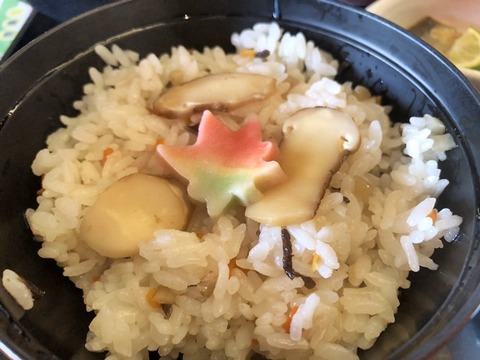 gp半