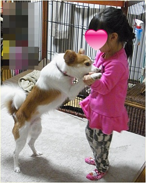 pagenanaちゃん