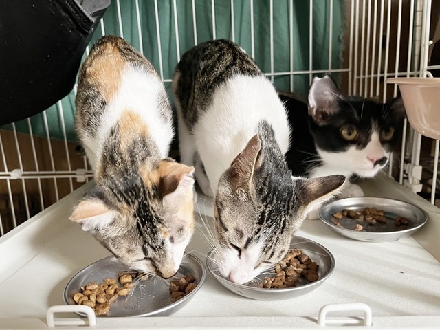 3人
