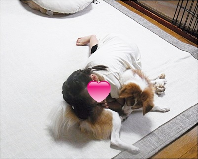 nanaちゃん