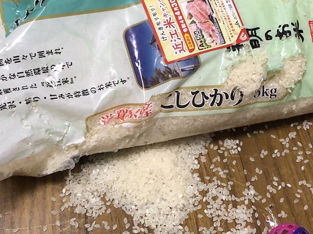 お米