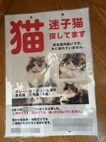 ポスター