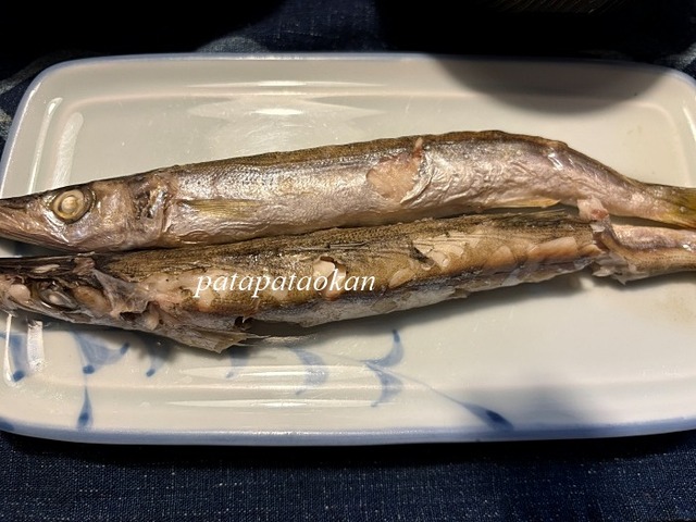 kamasu