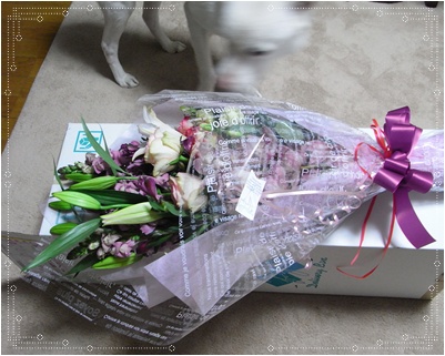 pageお花1